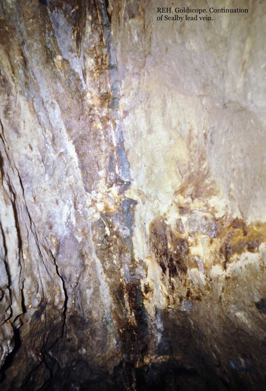 Goldscope continuation of Sealby vein Photo Richard Hewer